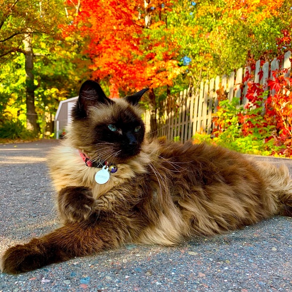 Meet your Posher, Mildredsmom - Picture 1 of 1